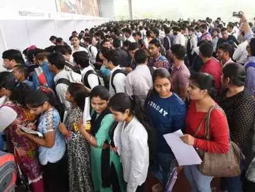 मेगा जॉब फेयर में 740 उम्मीदवारों का चयन