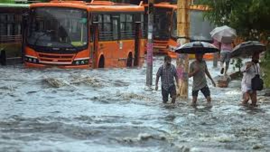 मराठवाड़ा में 'गीला सूखा' का संकट