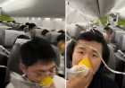 Boeing 737 Plummets 26,000 Feet: Passenger Panic & Survival