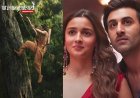 Ranbir Kapoor's 'Ramayana' First Look Electrifies Fans; Alia Bhatt Calls it 'Unforgettable'