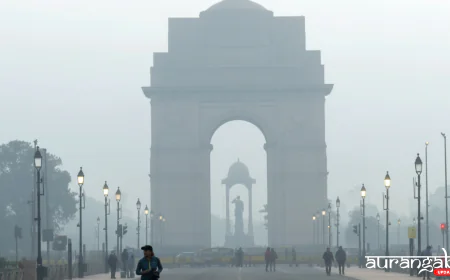 दिल्ली-NCR की हवा में 8 साल का सबसे बड़ा सुधार: 2025 में प्रदूषण के स्तर में भारी गिरावट